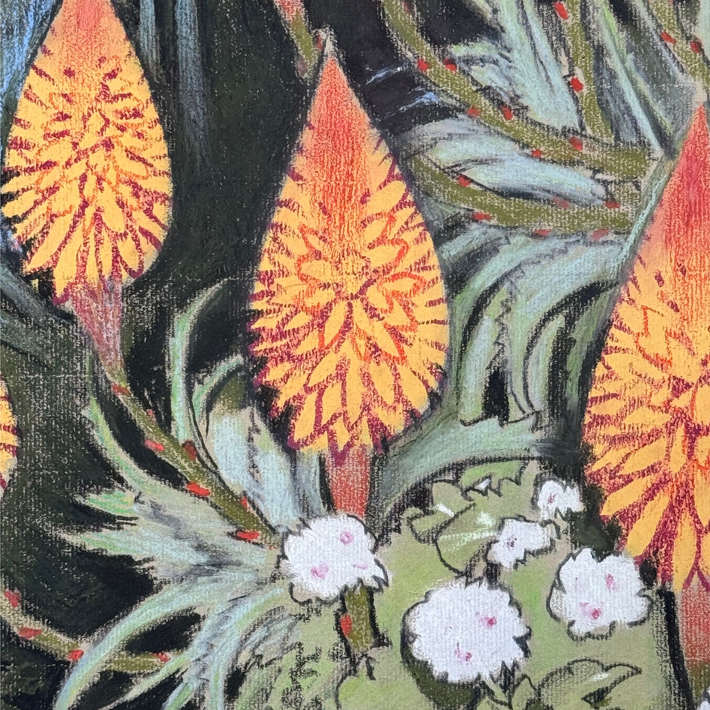 Keith Henderson, coloured pastel drawing "Red Aloes in a Spanish Garden"