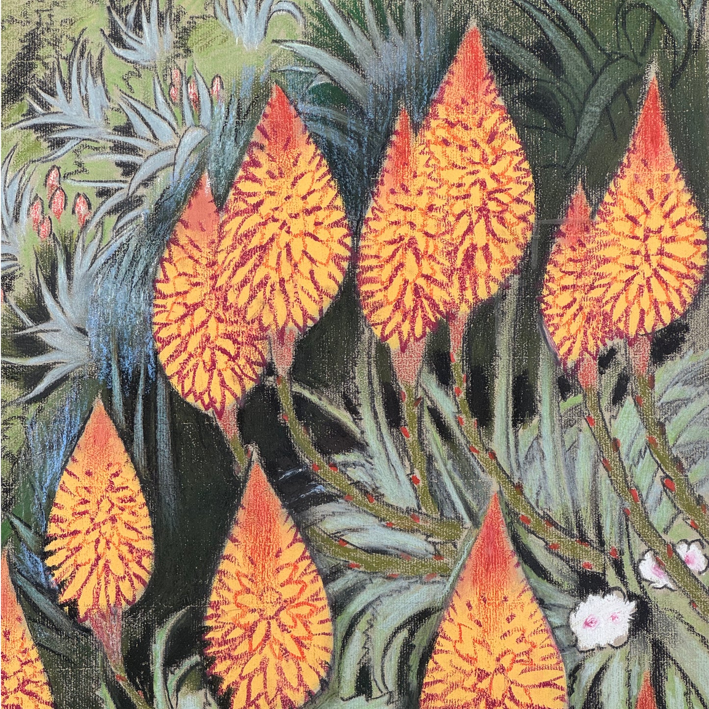 Keith Henderson, coloured pastel drawing "Red Aloes in a Spanish Garden"
