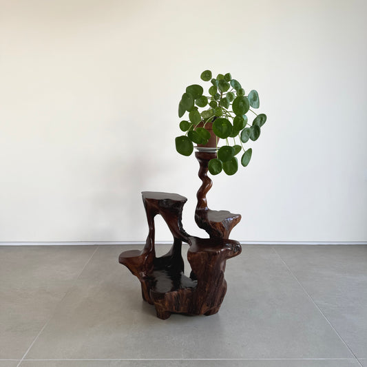 Japanese burl wood plant stand